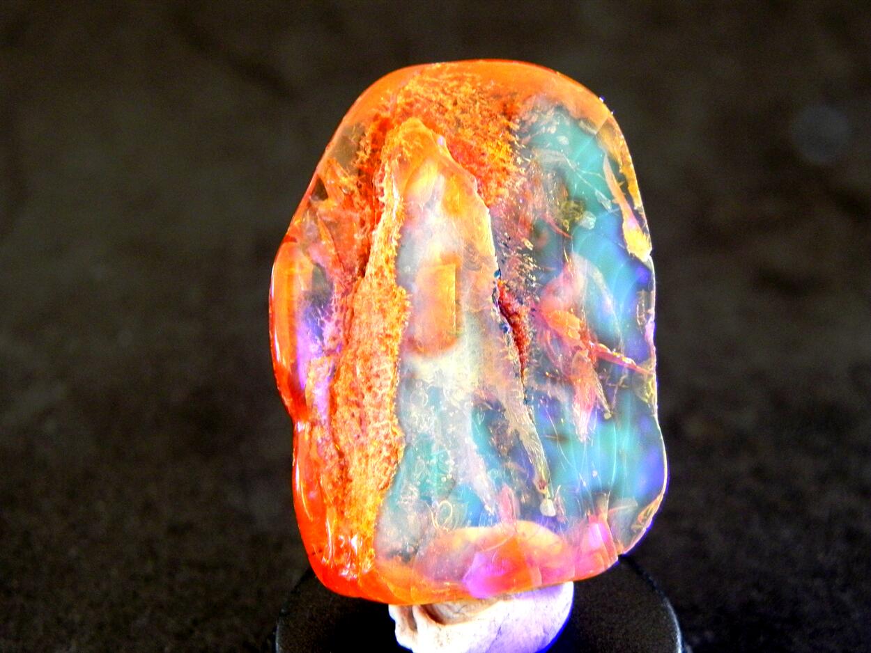 Amber With Inclusions