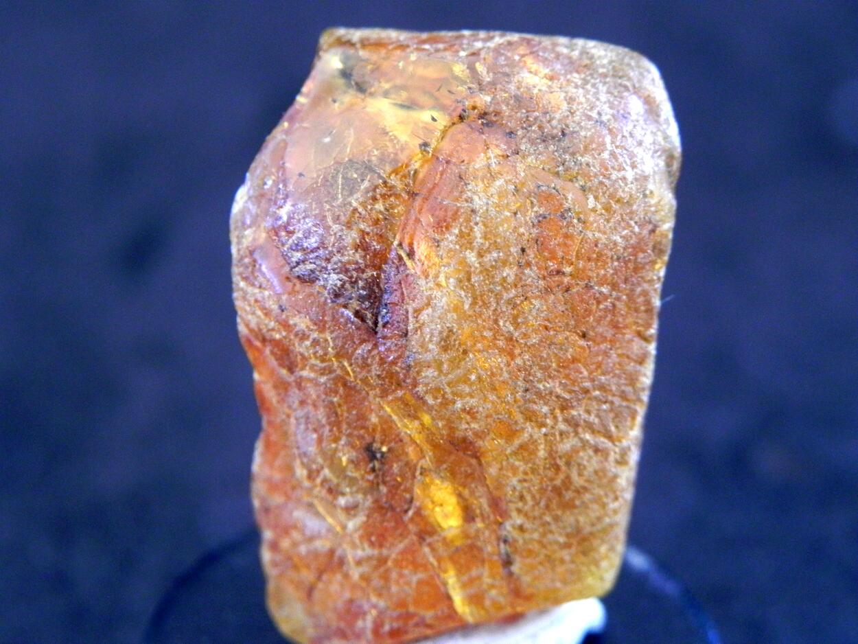Amber With Inclusions