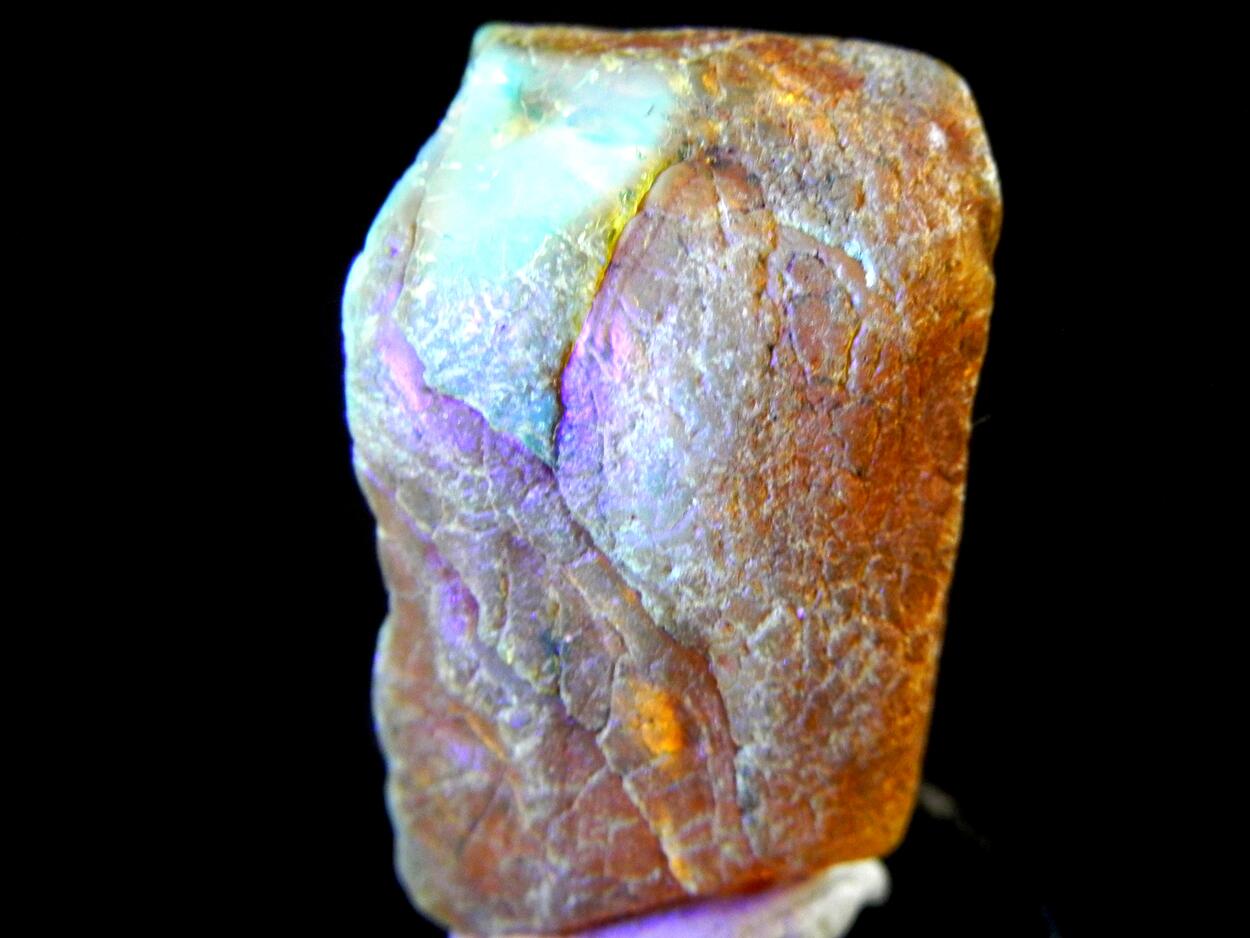 Amber With Inclusions