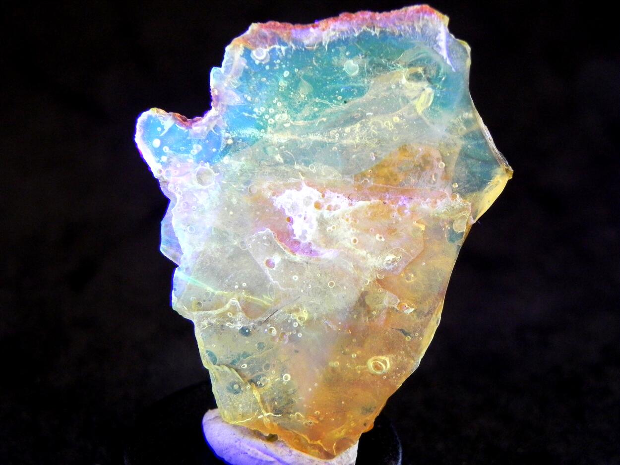 Amber With Inclusions