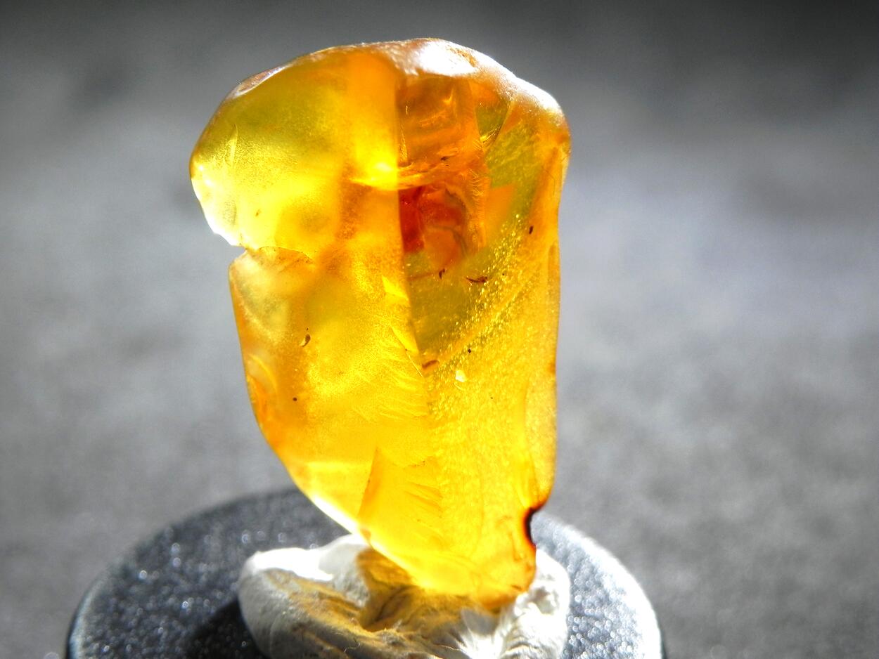 Amber With Inclusions