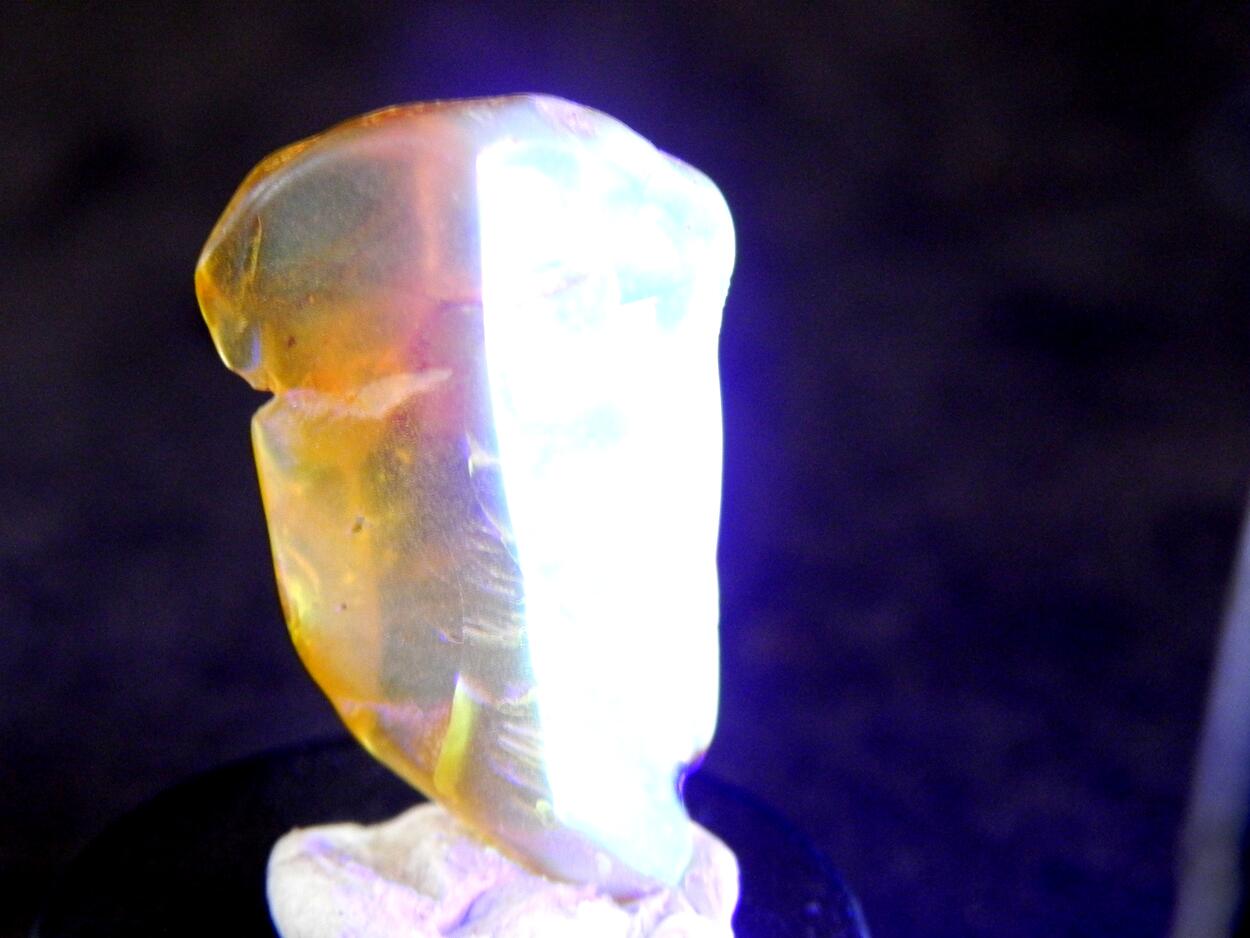 Amber With Inclusions