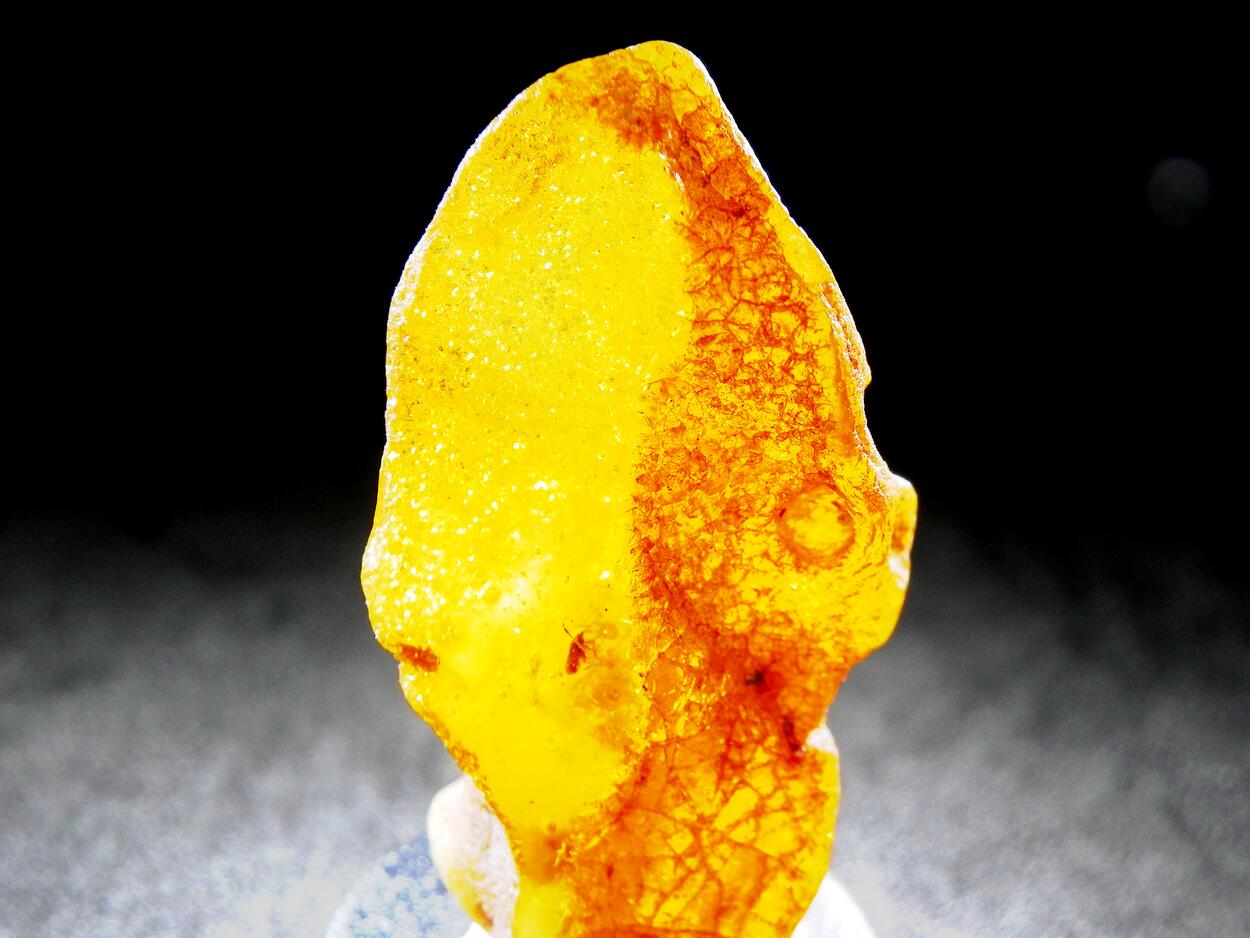 Amber With Inclusions
