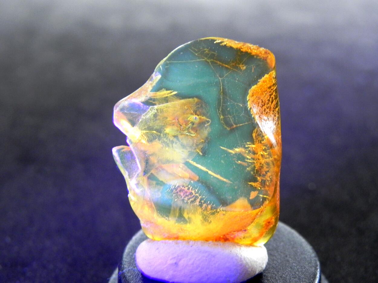Amber With Inclusions