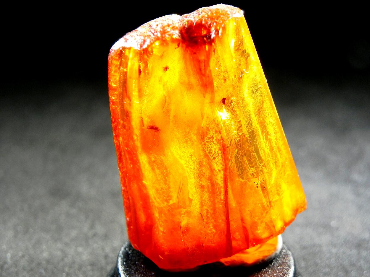 Amber With Inclusions