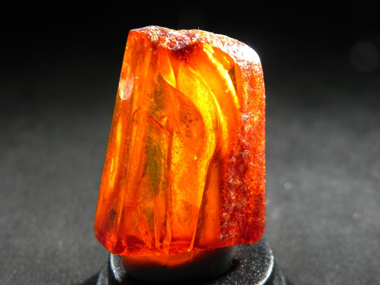Amber With Inclusions