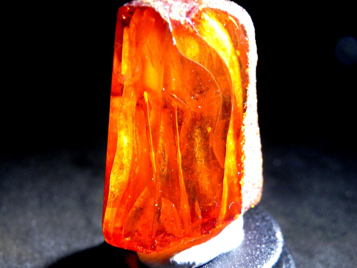 Amber With Inclusions
