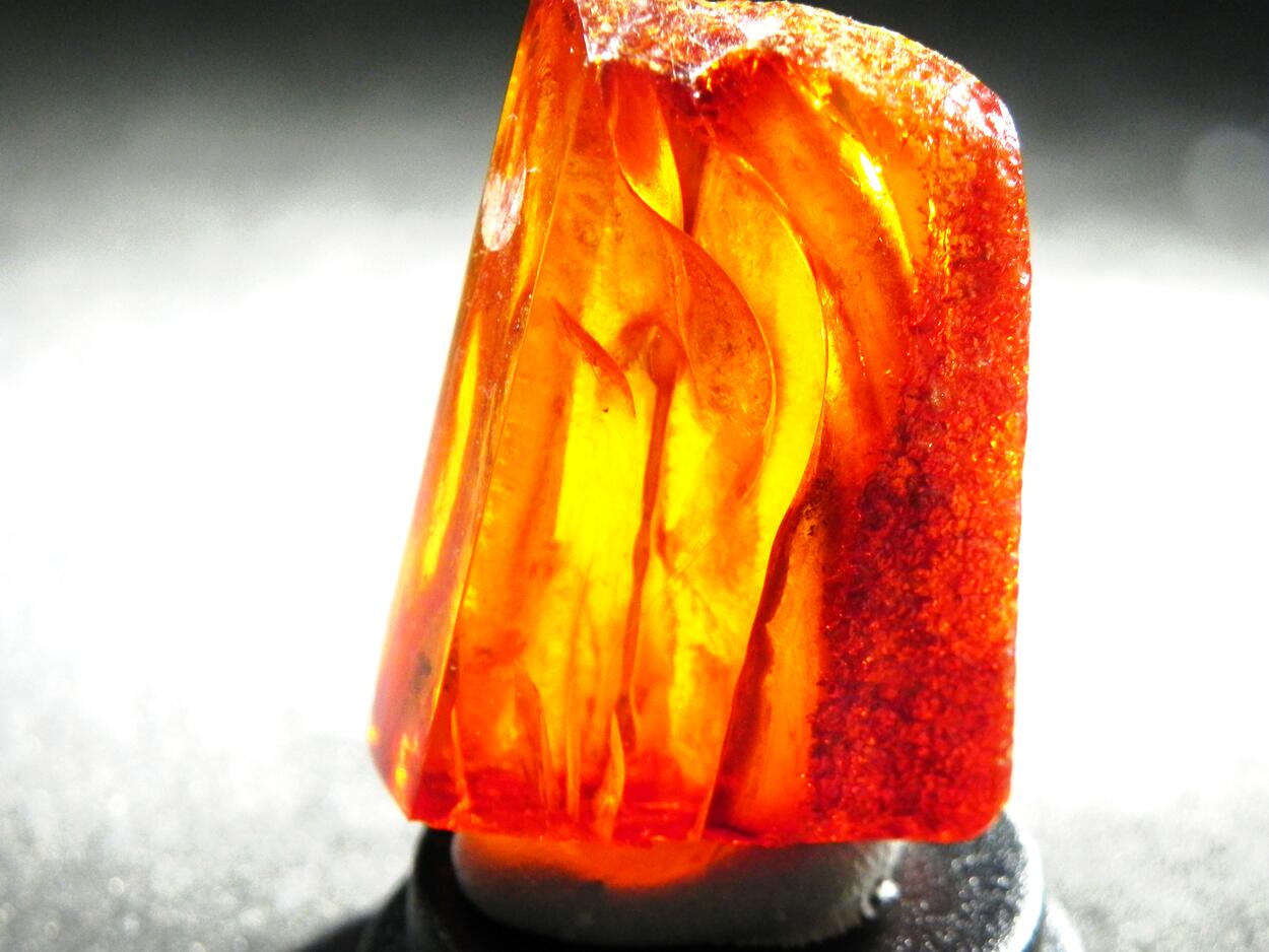 Amber With Inclusions