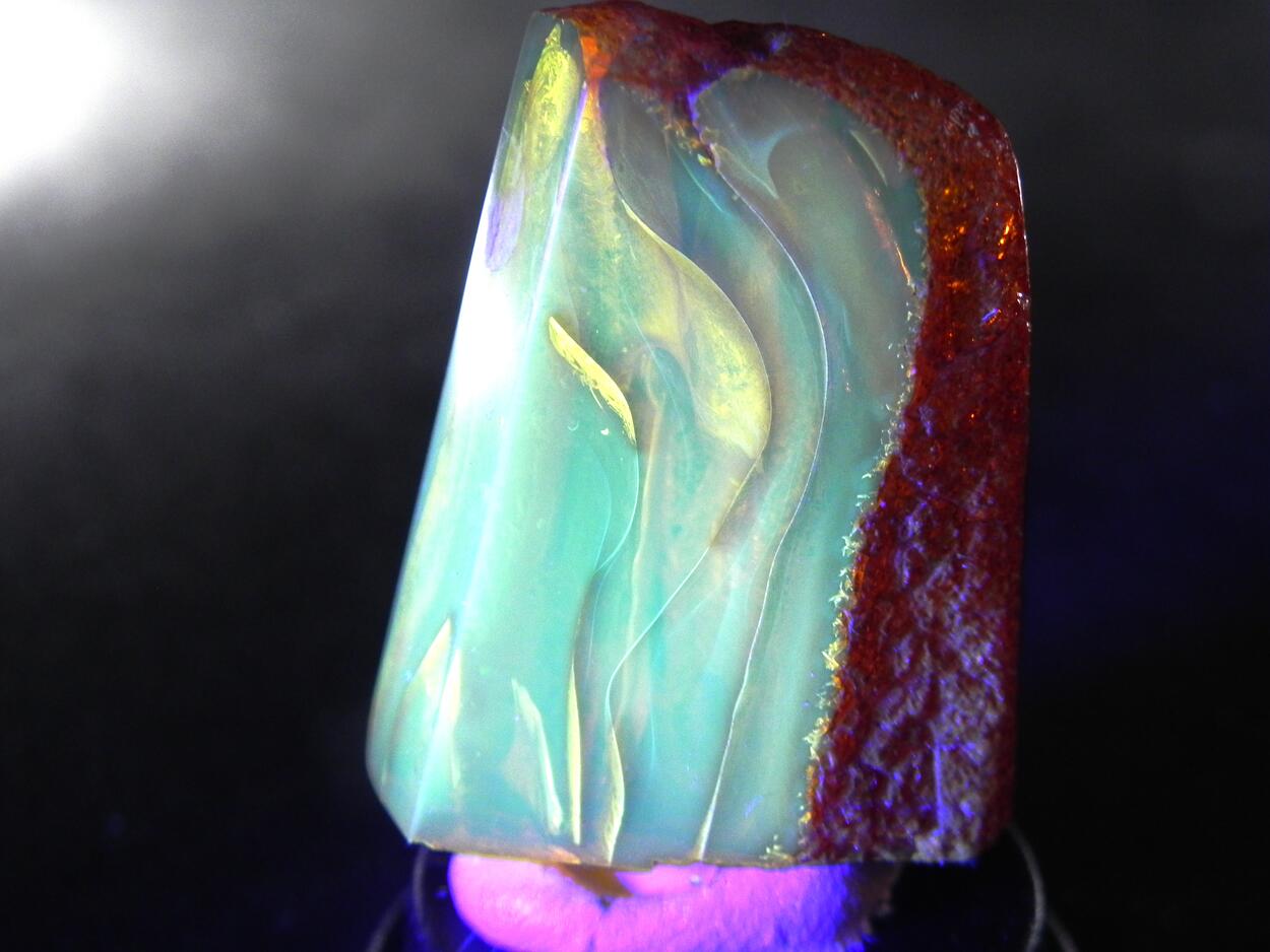 Amber With Inclusions