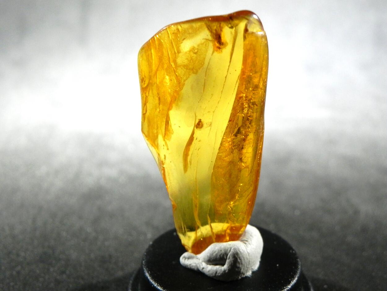 Amber With Inclusions