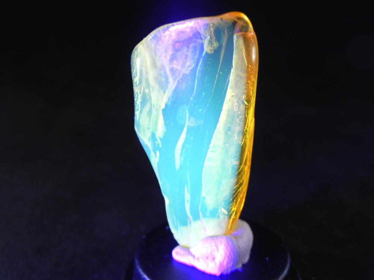 Amber With Inclusions