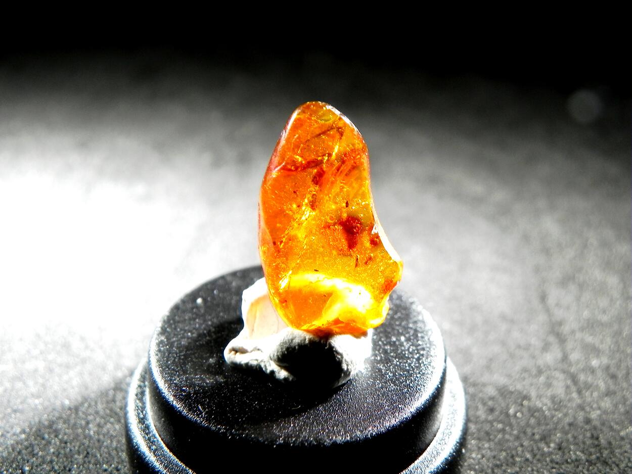 Amber With Inclusions