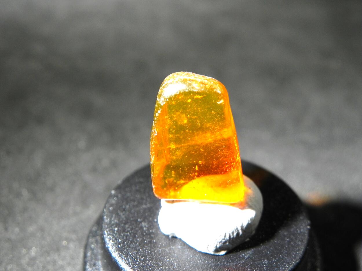 Amber With Inclusions