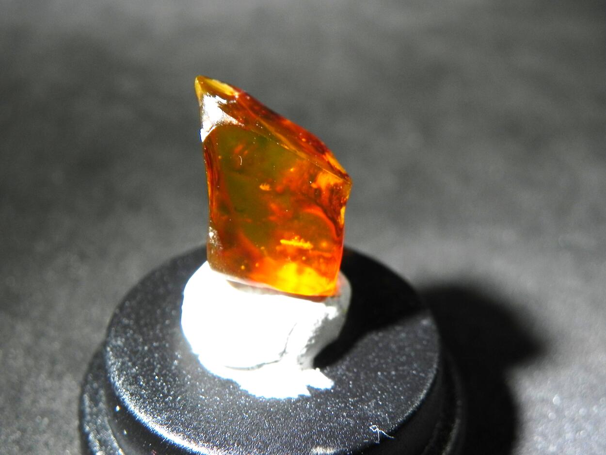 Amber With Inclusions
