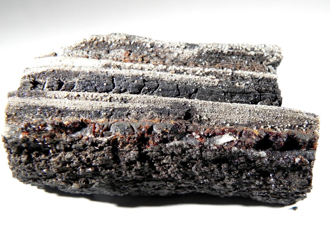 Duxite Amber On Petrified Wood