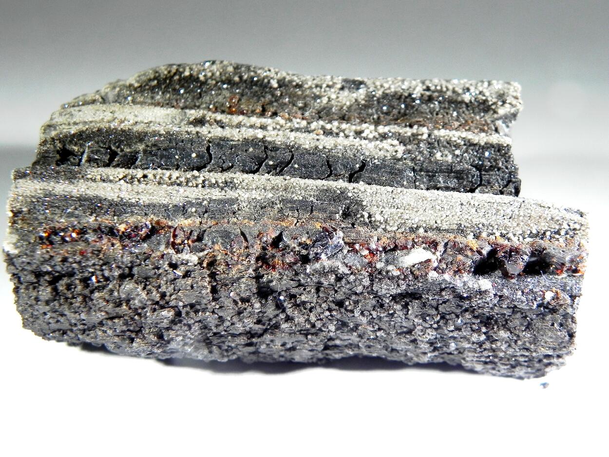 Duxite Amber On Petrified Wood