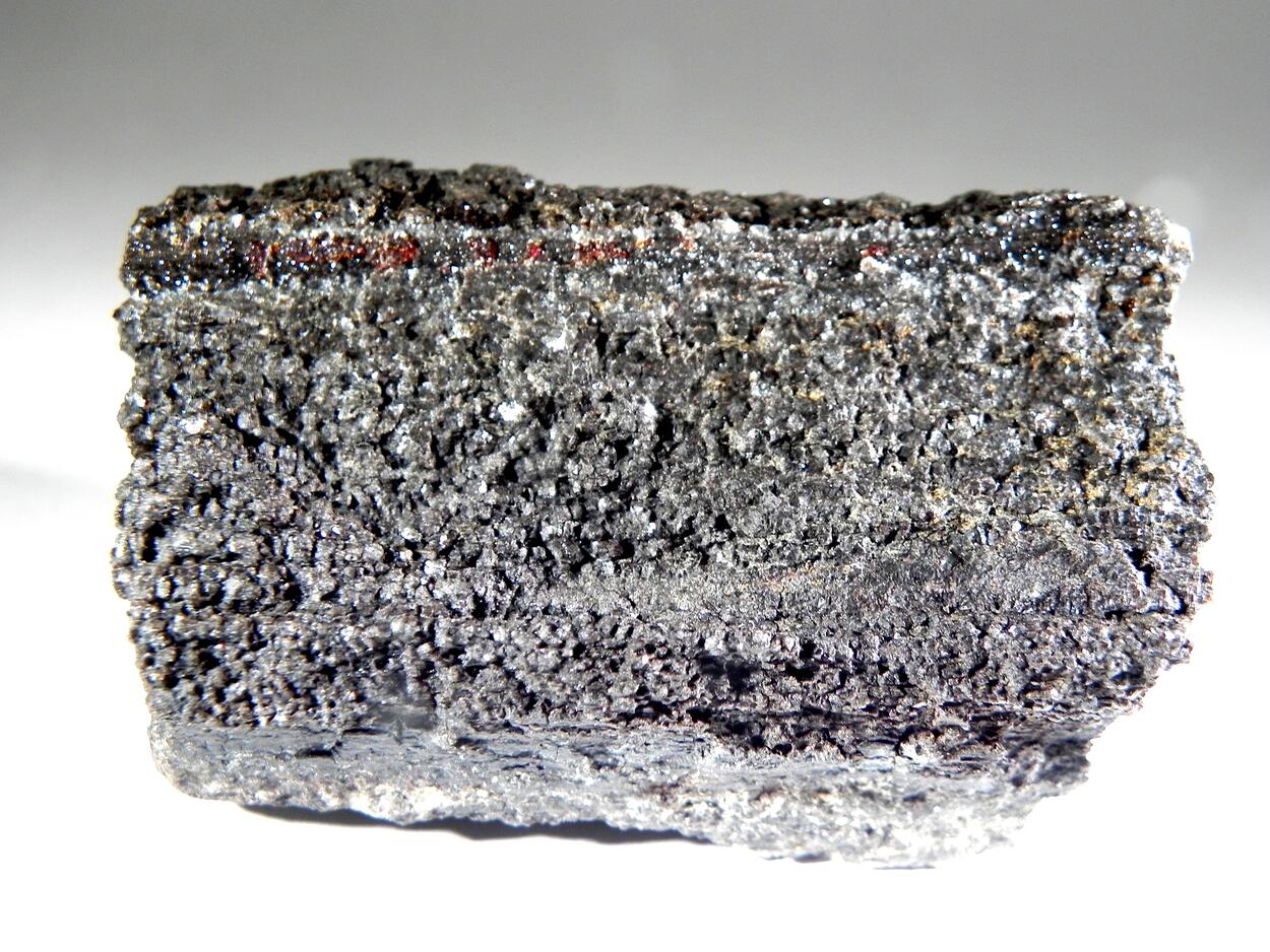 Duxite Amber On Petrified Wood