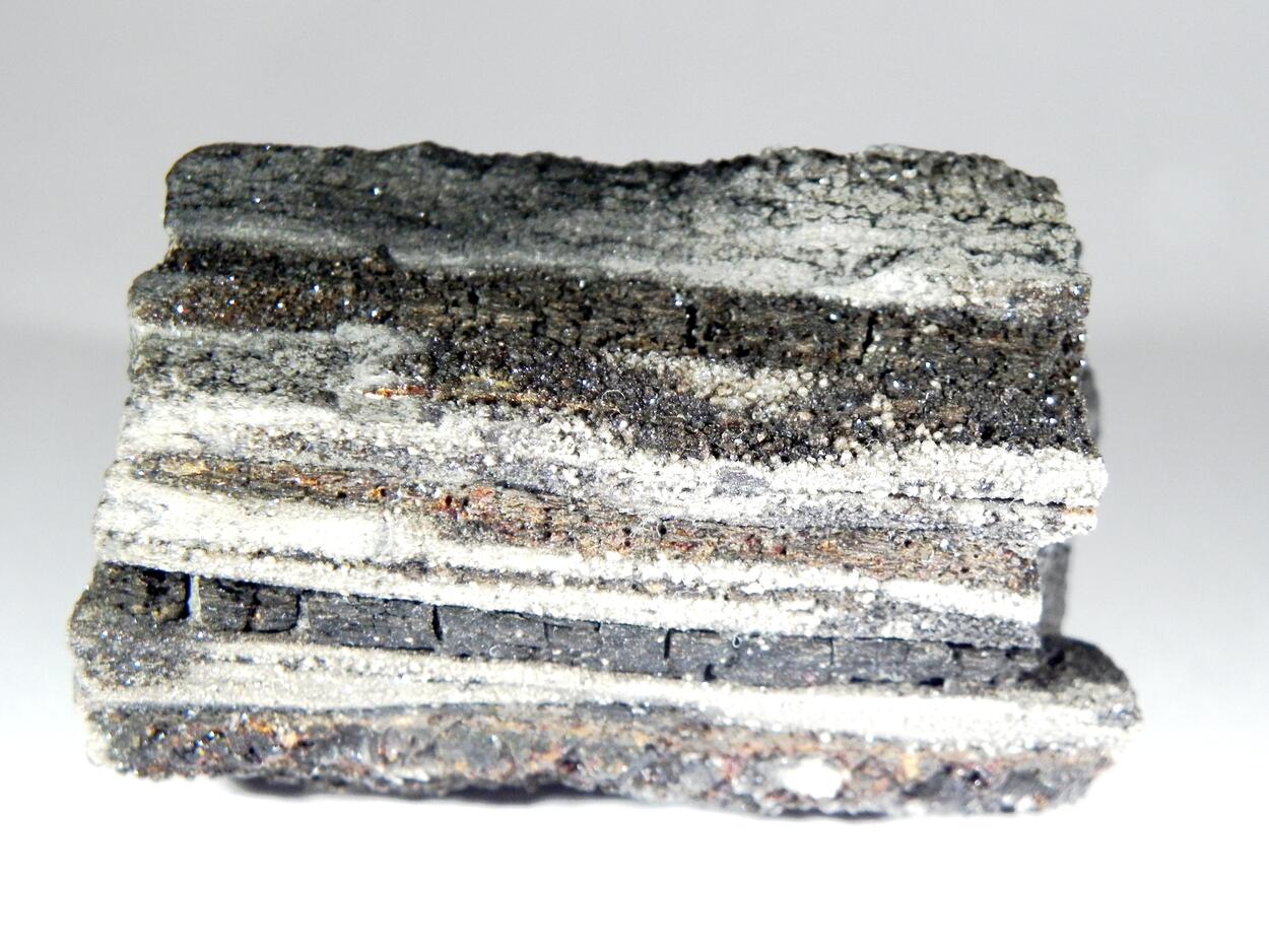 Duxite Amber On Petrified Wood