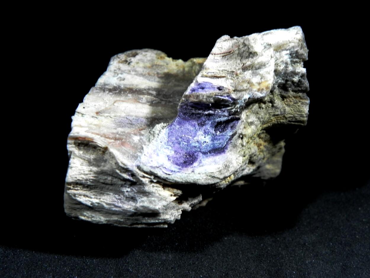 Fluorite & Quartz Psm Petrified Wood