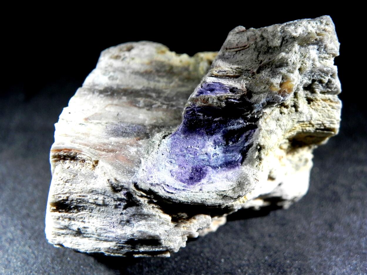 Fluorite & Quartz Psm Petrified Wood