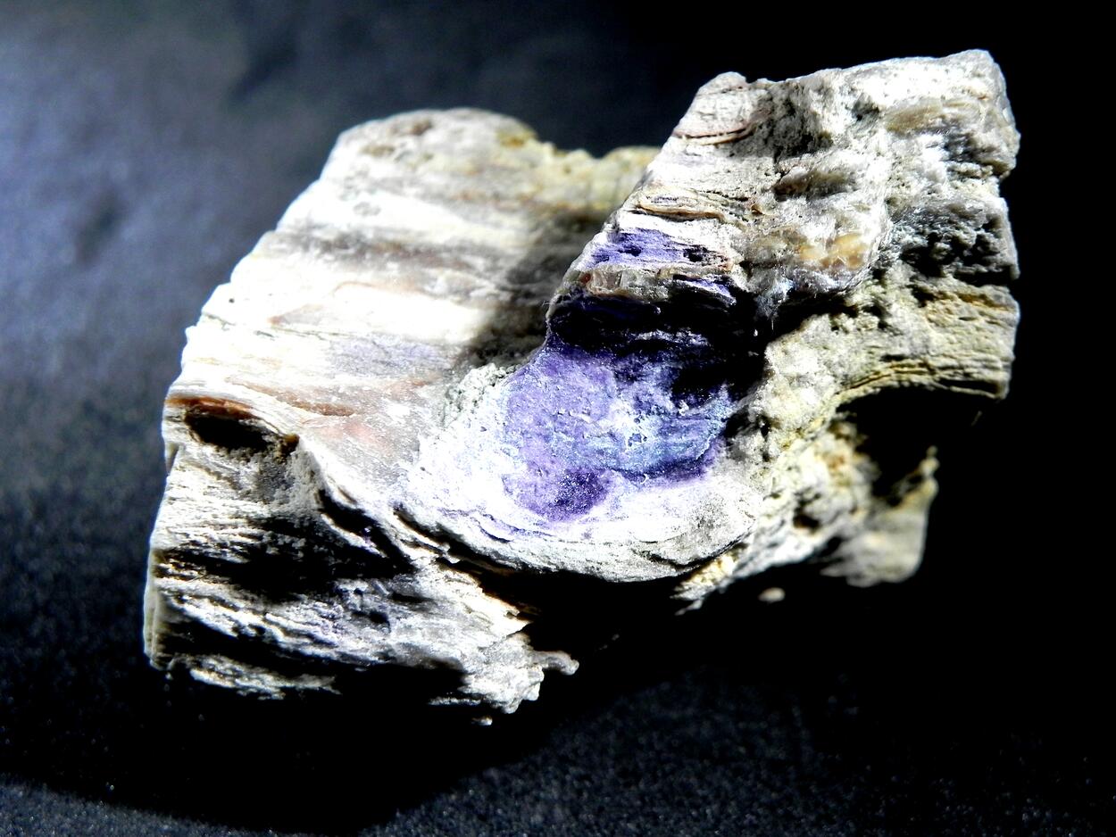 Fluorite & Quartz Psm Petrified Wood