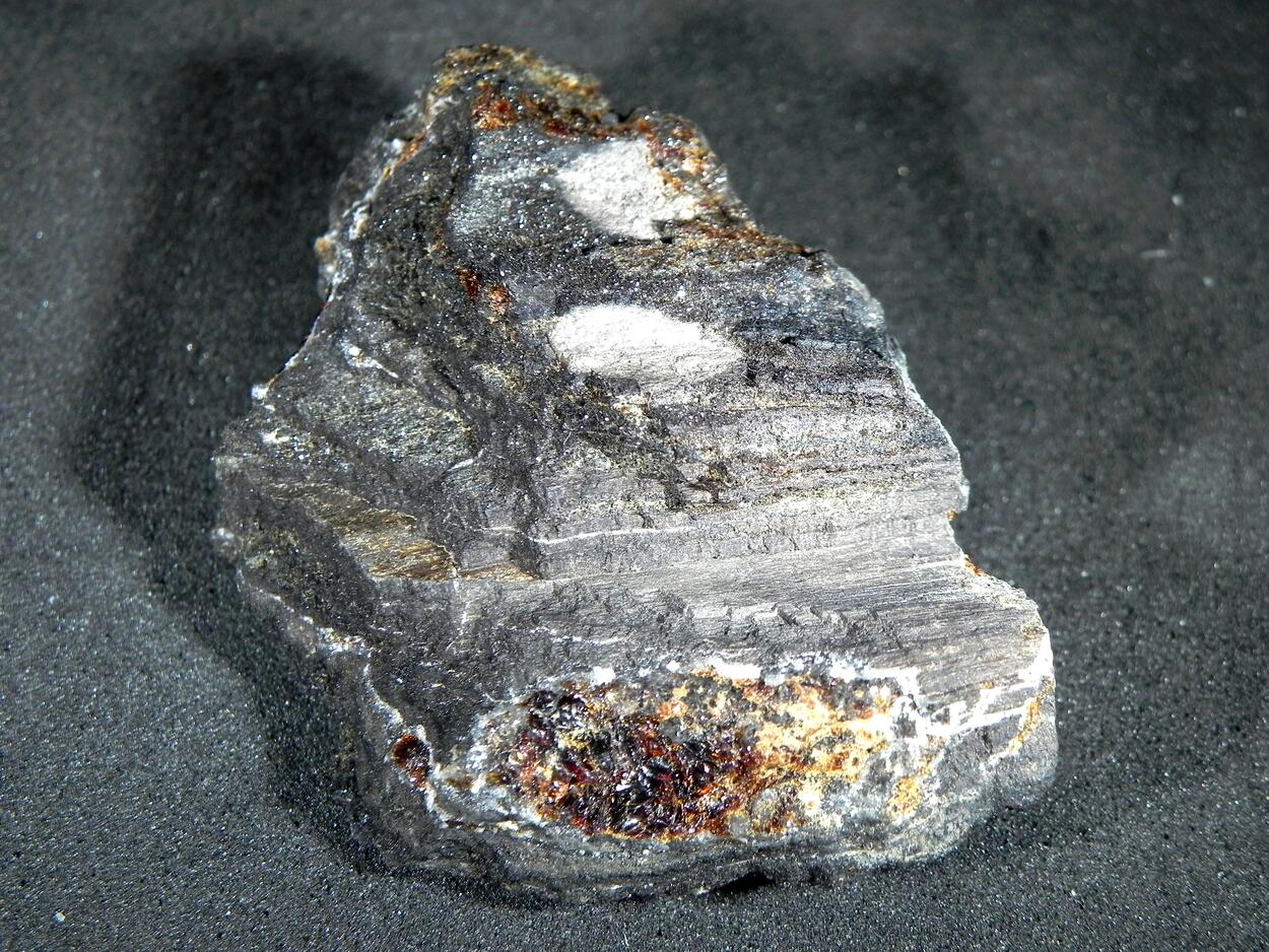 Duxite Amber In Petrified Wood