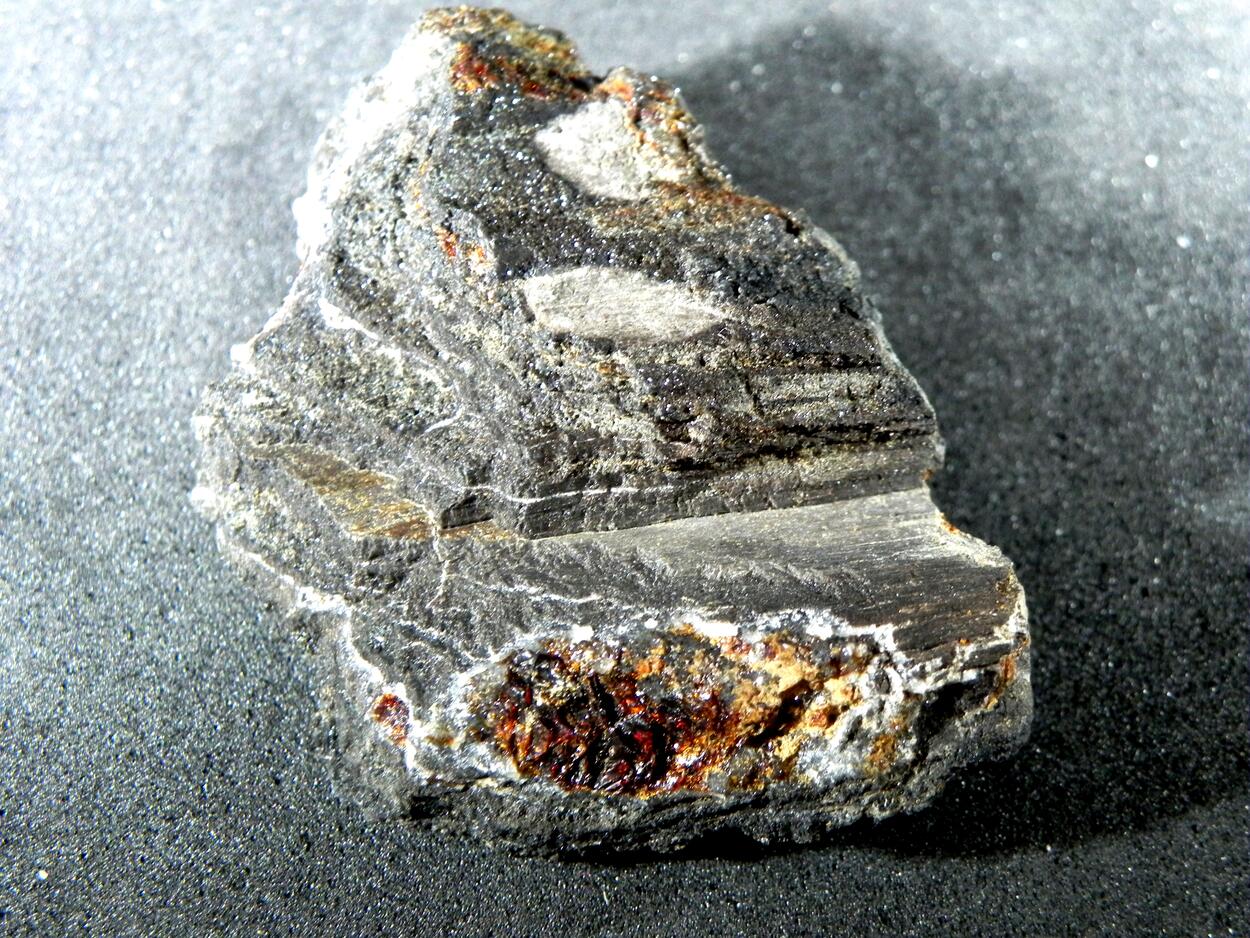 Duxite Amber In Petrified Wood