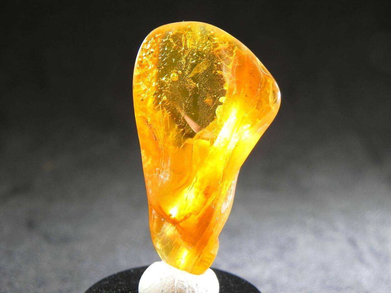 Amber With Inclusions