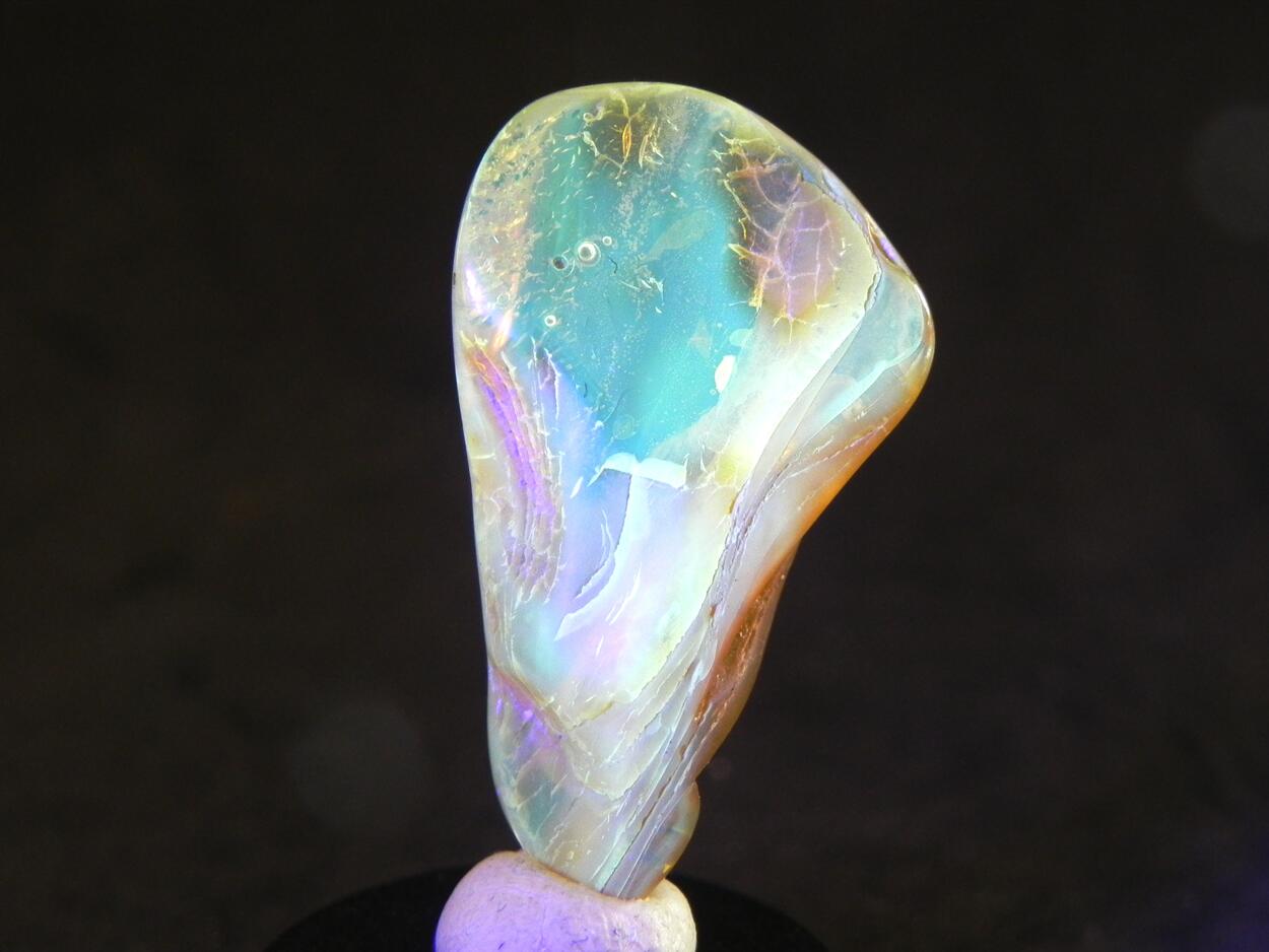 Amber With Inclusions