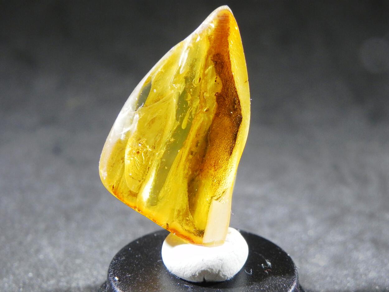 Amber With Inclusions