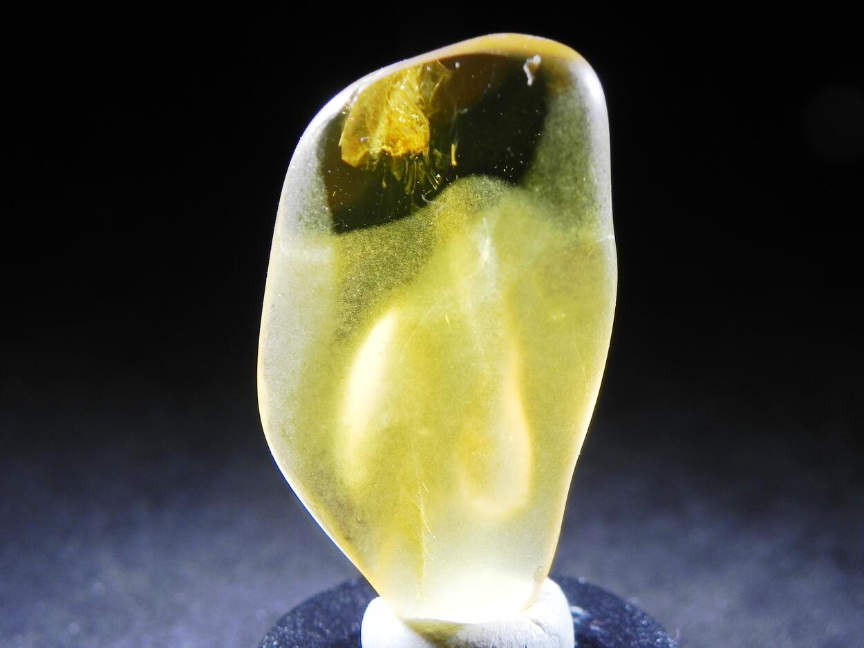 Amber With Inclusions
