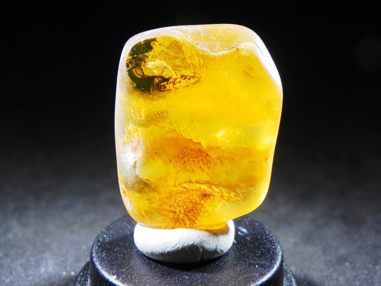 Amber With Inclusions
