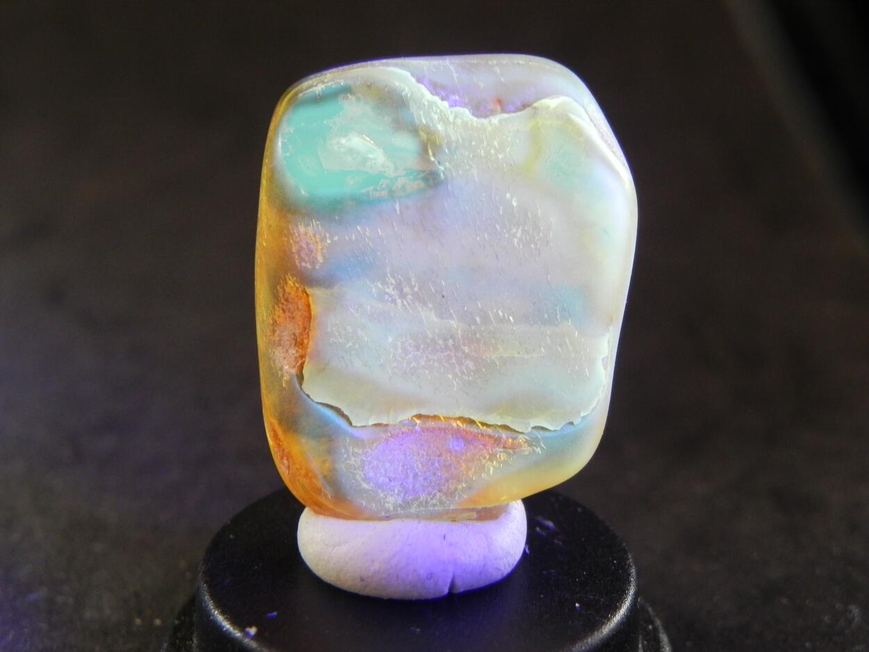 Amber With Inclusions