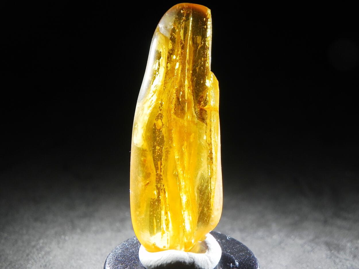 Amber With Inclusions