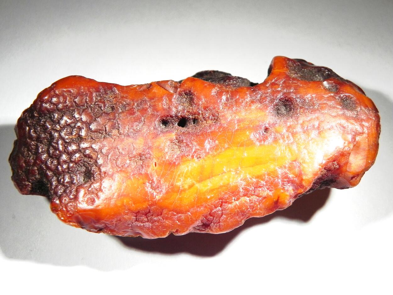Amber Succinite