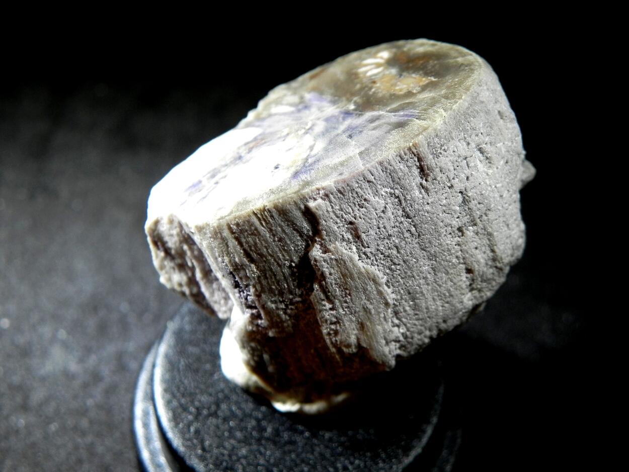 Fluorite & Quartz Psm Petrified Wood