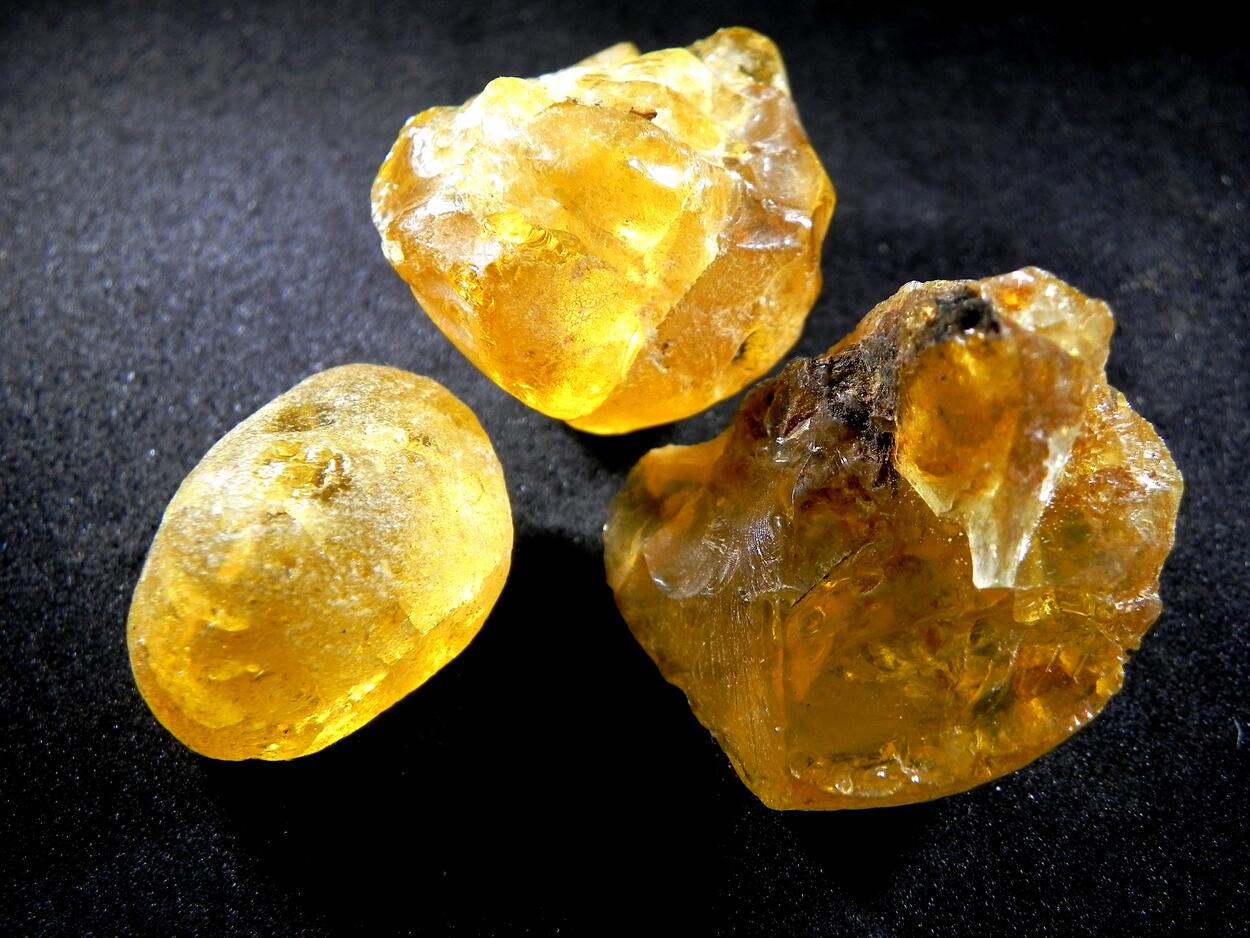 Amber Gedanite
