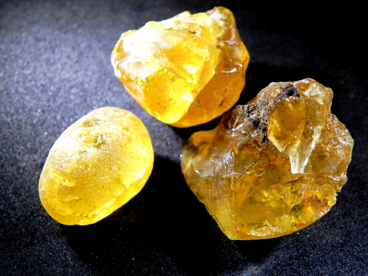 Amber Gedanite