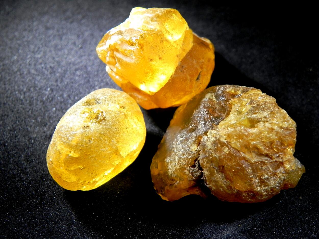 Amber Gedanite