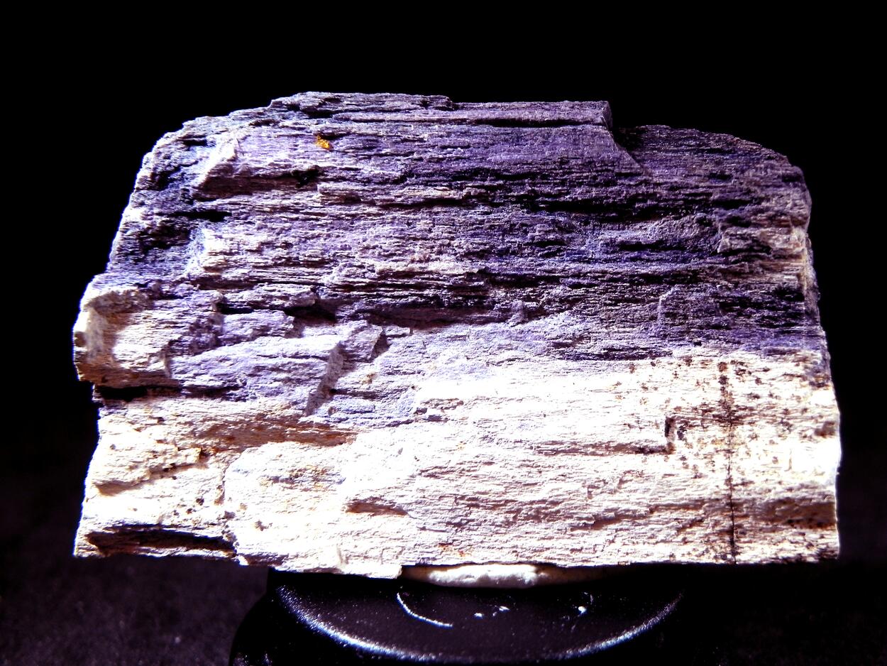 Fluorite & Quartz Psm Petrified Wood