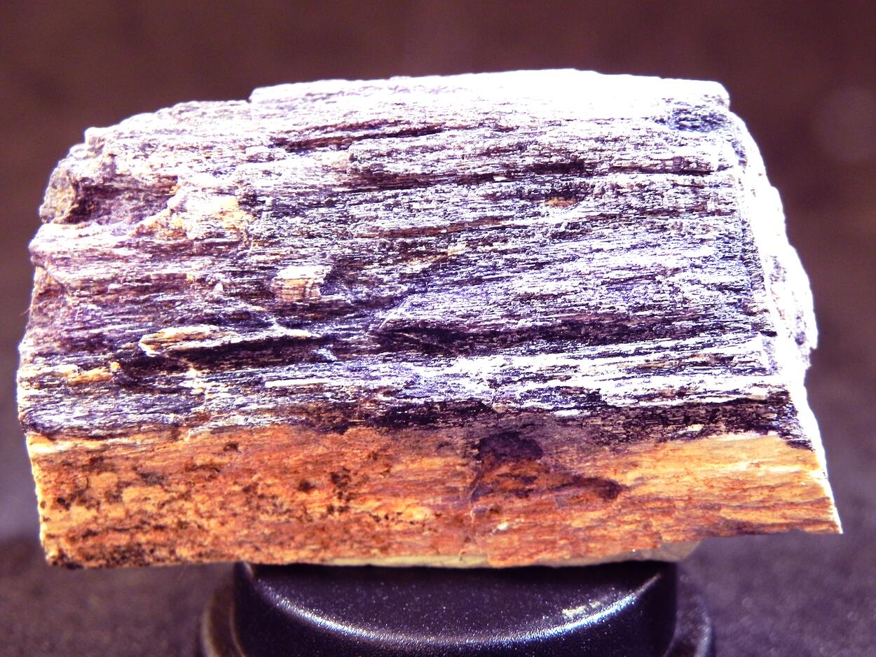 Fluorite & Quartz Psm Petrified Wood