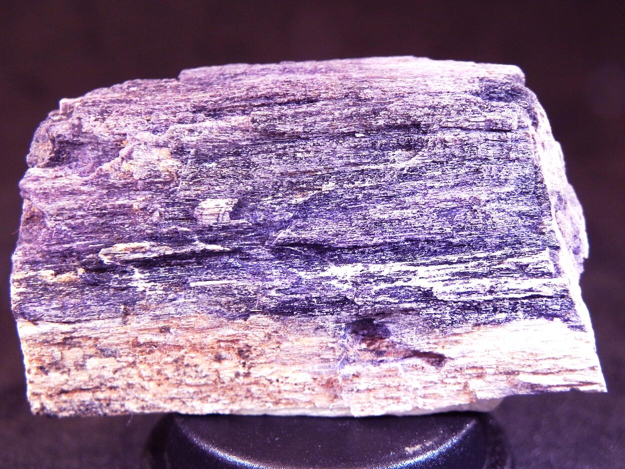 Fluorite & Quartz Psm Petrified Wood