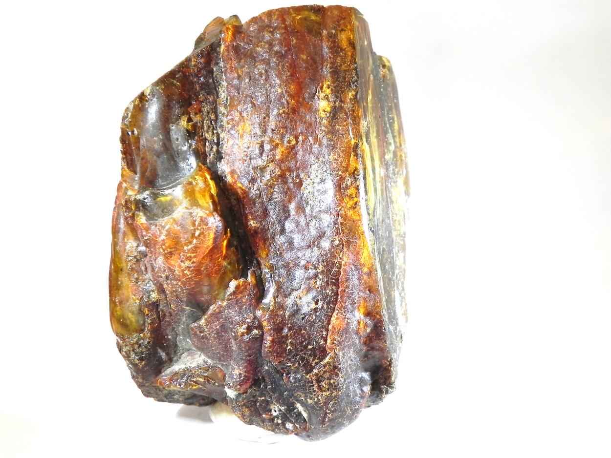 Amber Succinite