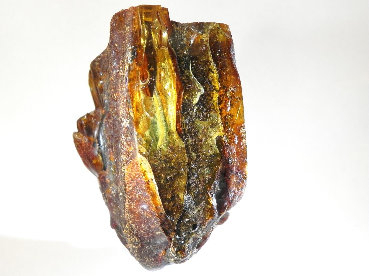 Amber Succinite