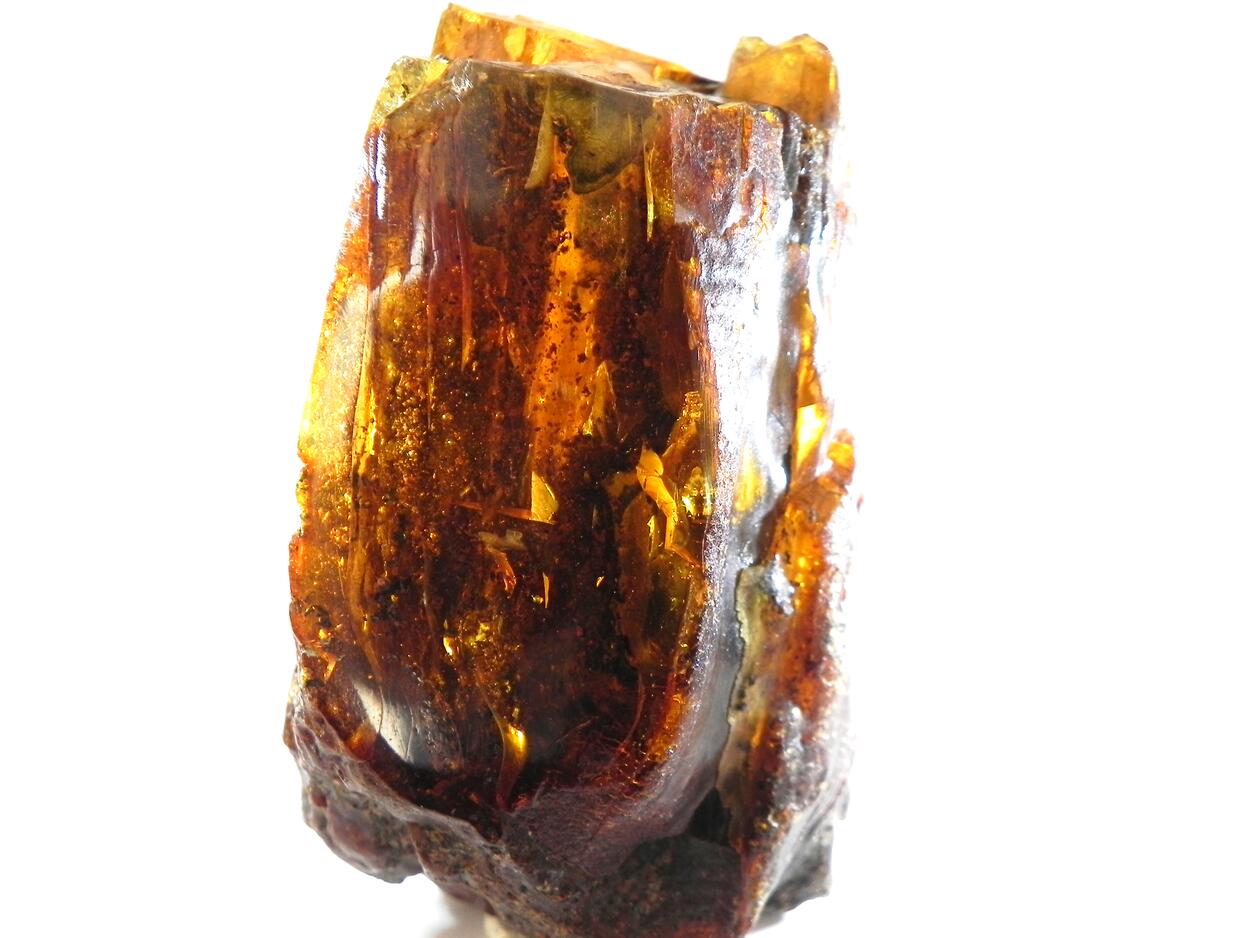 Amber Succinite