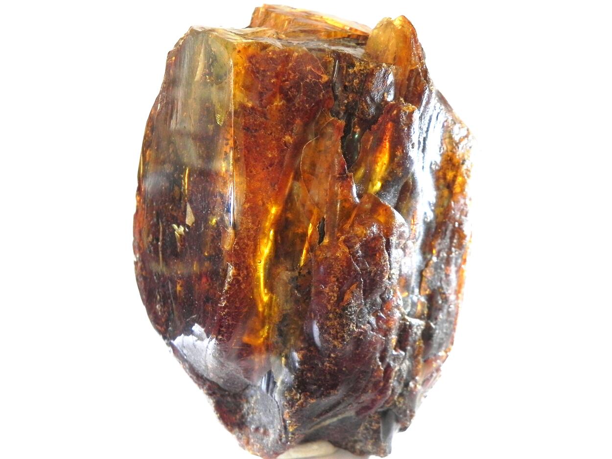 Amber Succinite