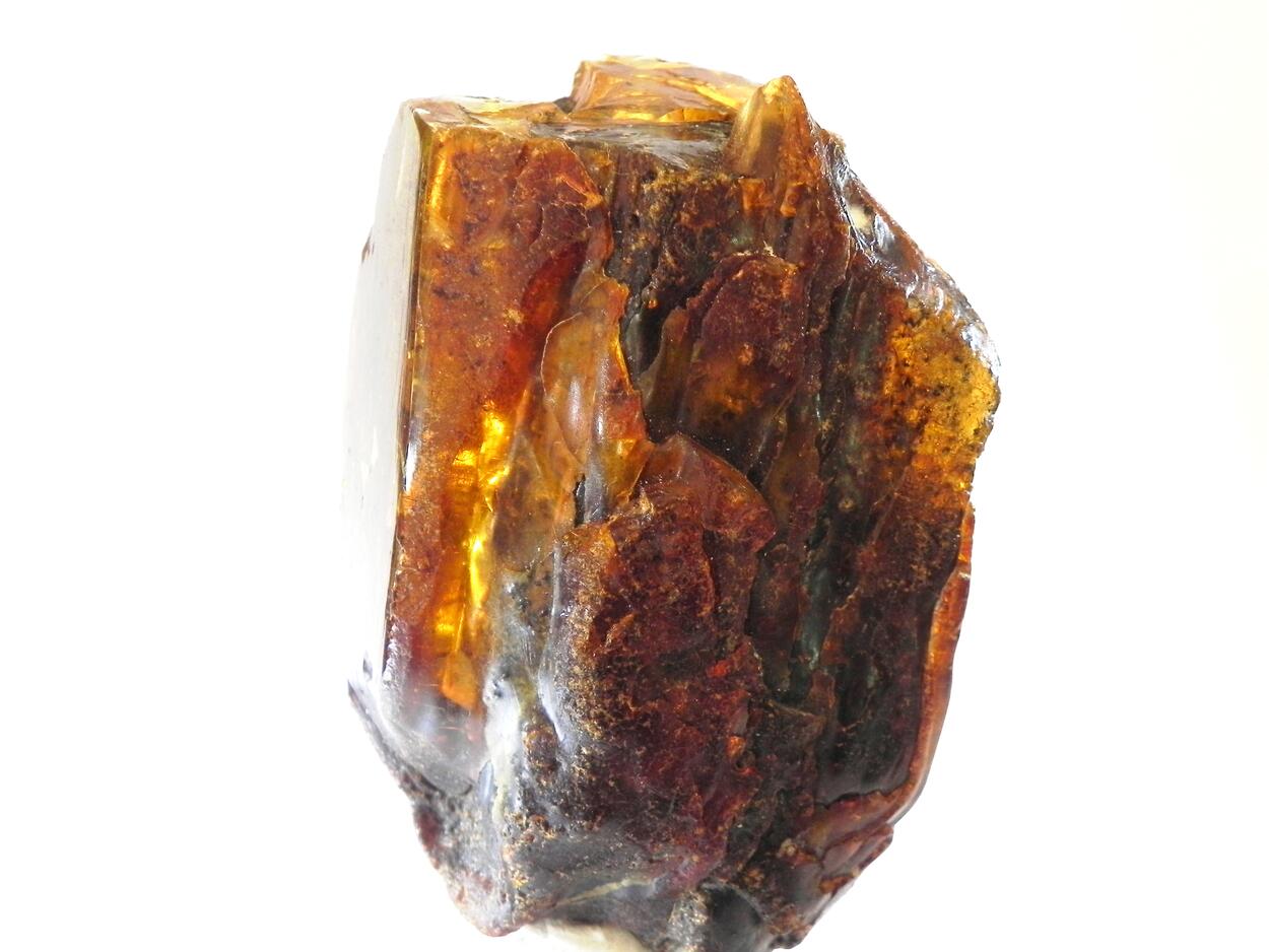 Amber Succinite