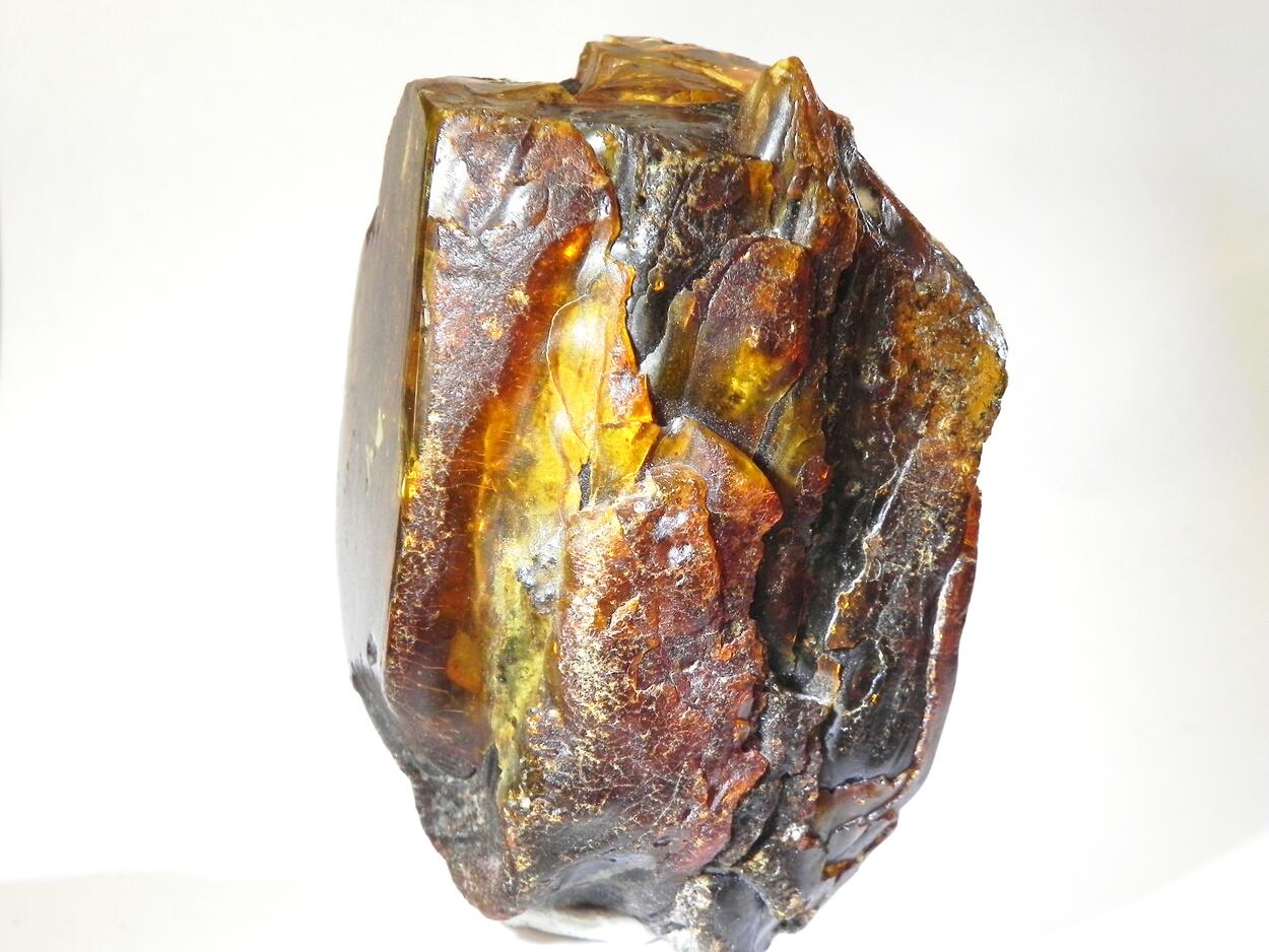 Amber Succinite