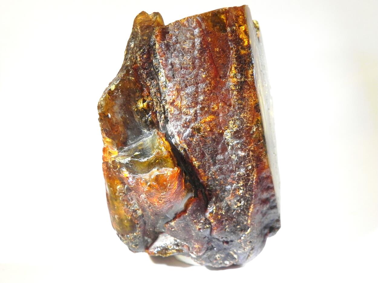 Amber Succinite