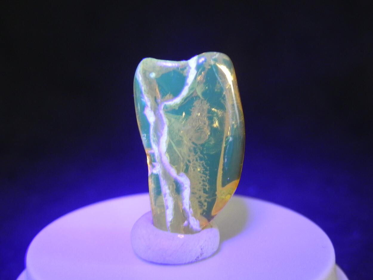 Amber With Inclusions